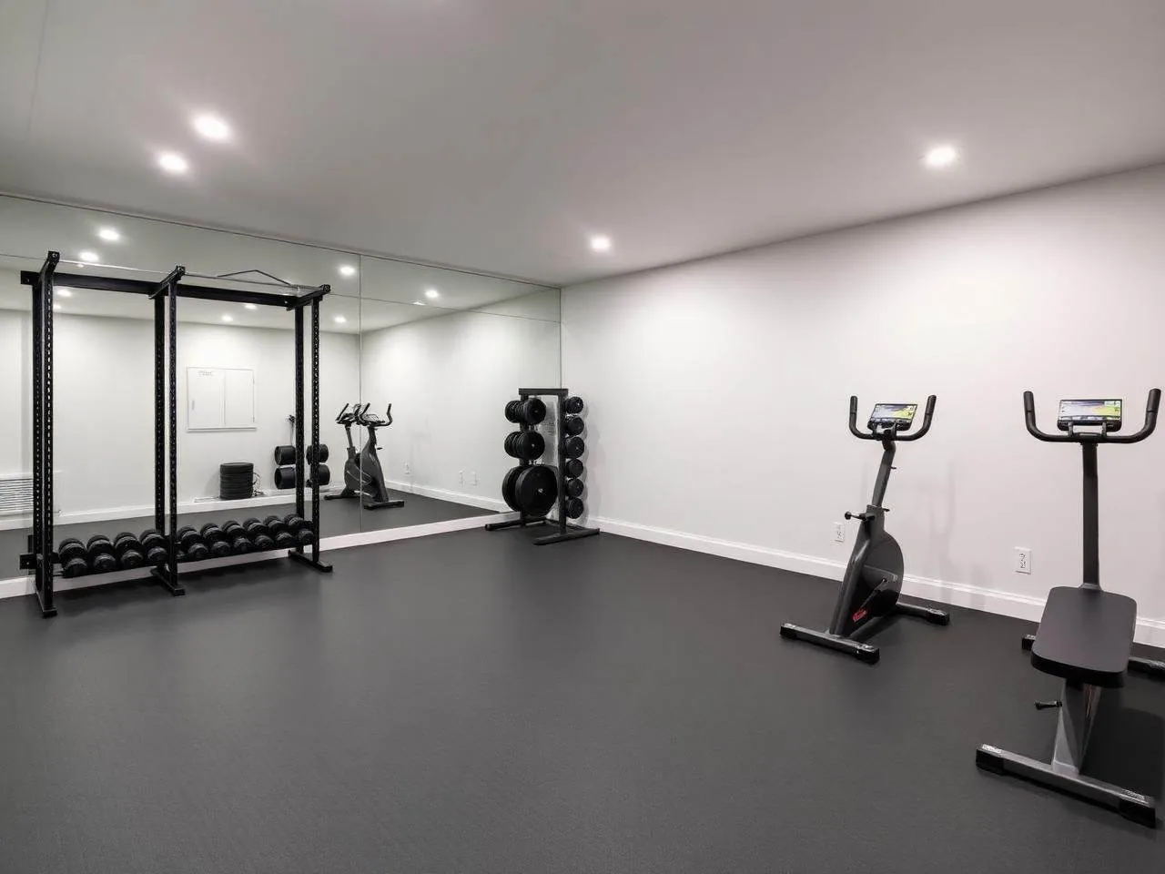 Finished basement home gym with rubber flooring and mirror wall